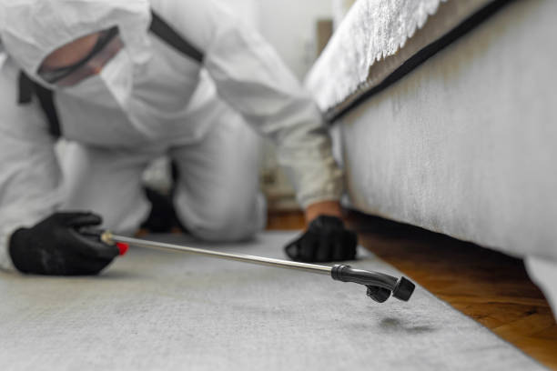 Professional Bed Bug Control technician working in Bon Air, VA