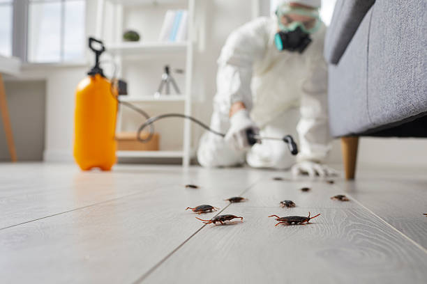 Trusted Cockroach Control service in Bon Air, VA - Nex Pest Control
