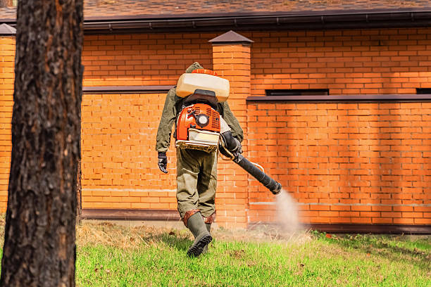 Trusted Termite Control service in Bon Air, VA - Nex Pest Control